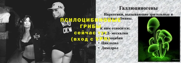 PSILOCYBIN Володарск